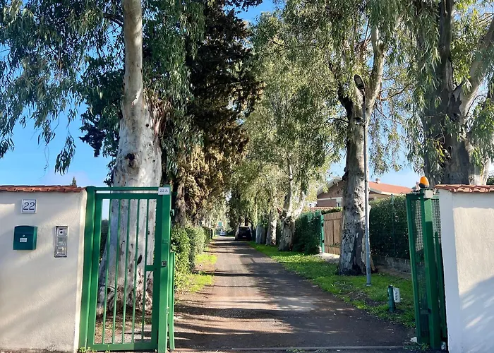 Torrenova 22
